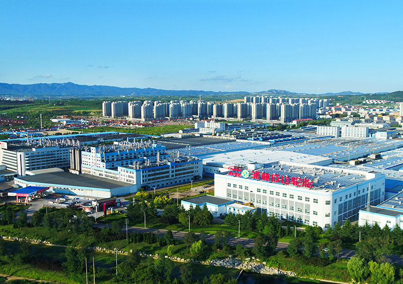 尊龙中国典型经验被认定为行业质量标杆