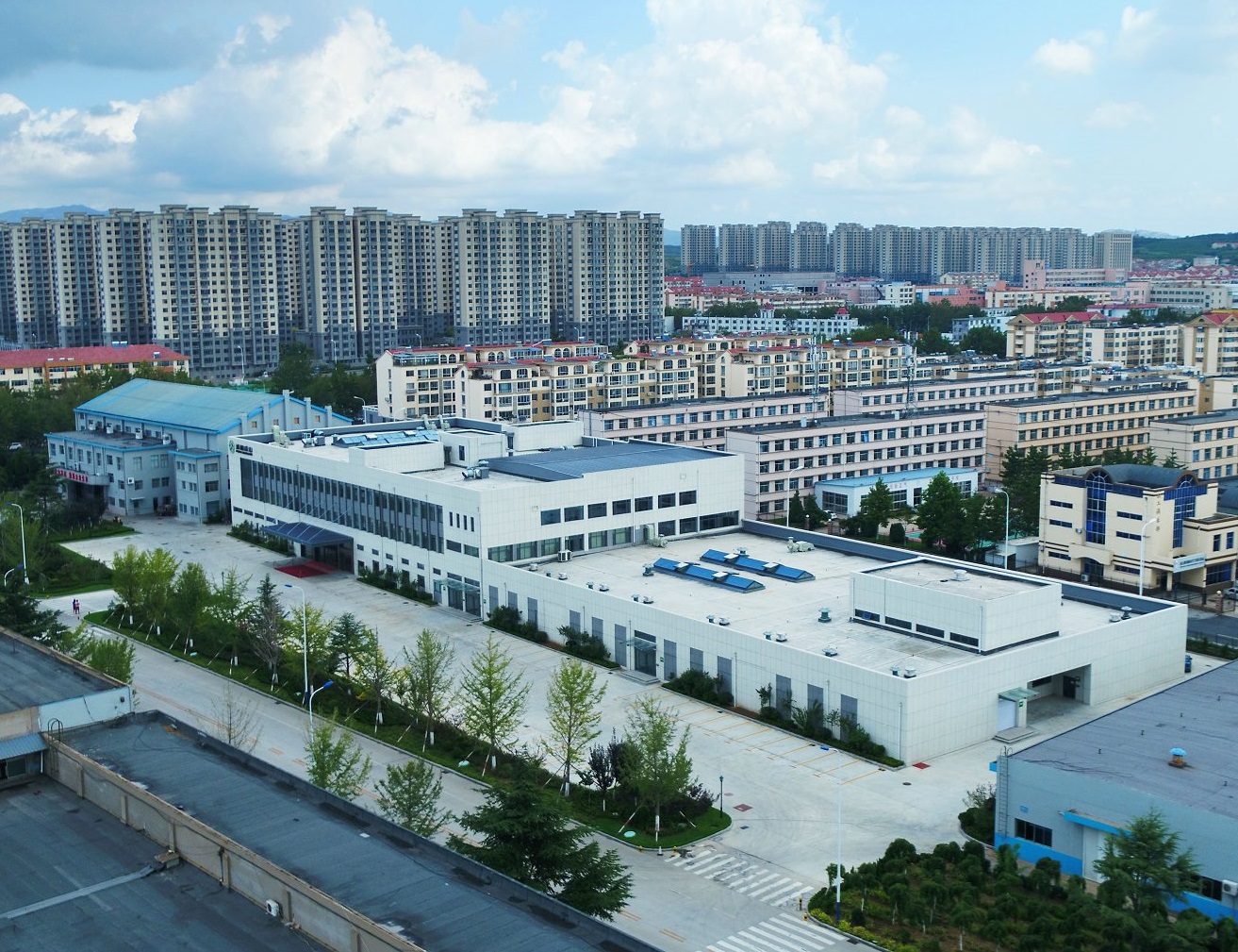 尊龙中国蝉联中国轮胎能效领跑者